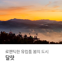 [홈쇼핑] 달랏 홈쇼핑 기획전