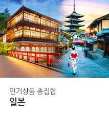 [기획전] 일본 인기상품 총집합