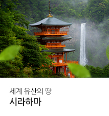 [기획전] 시라하마 전세기 기획전