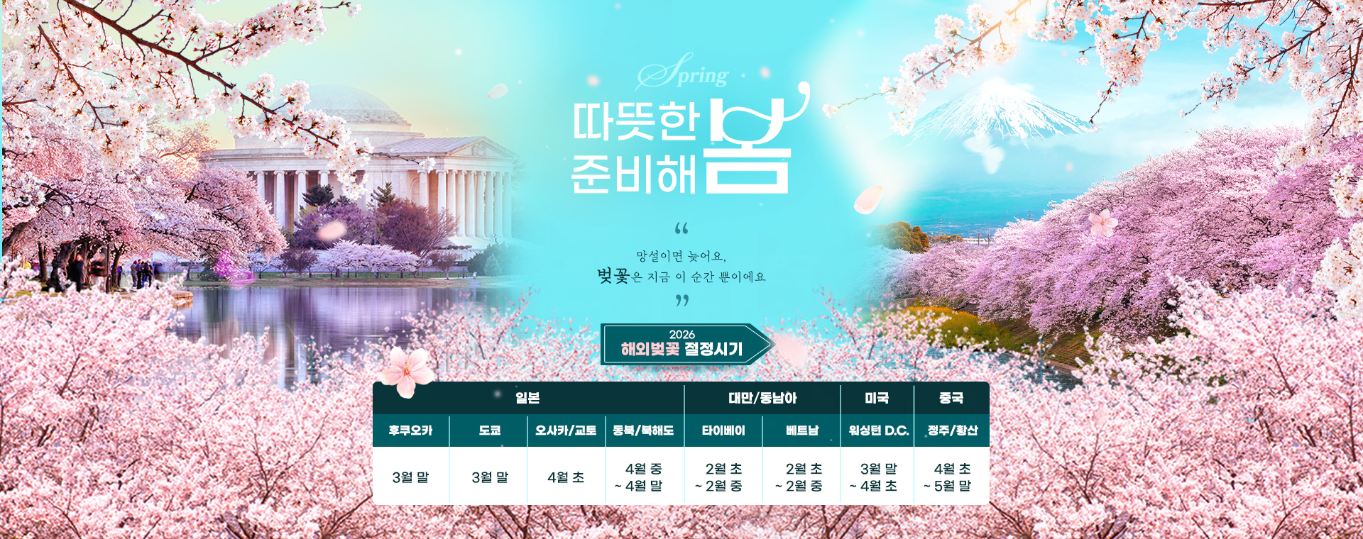 [패키지모음]2026 봄 기획전