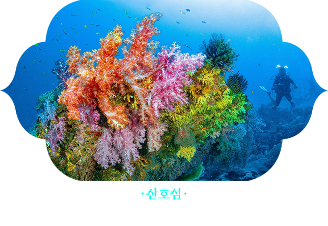 산호섬