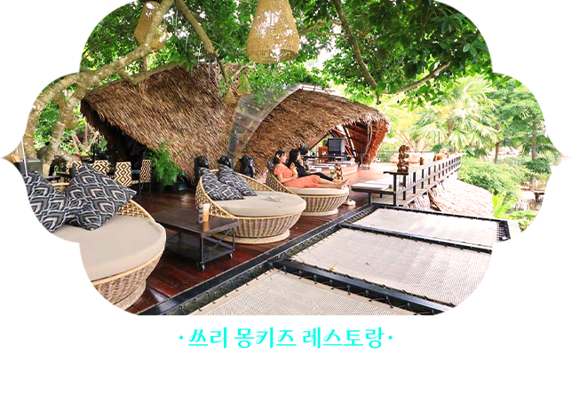 쓰리몽키스레스토랑