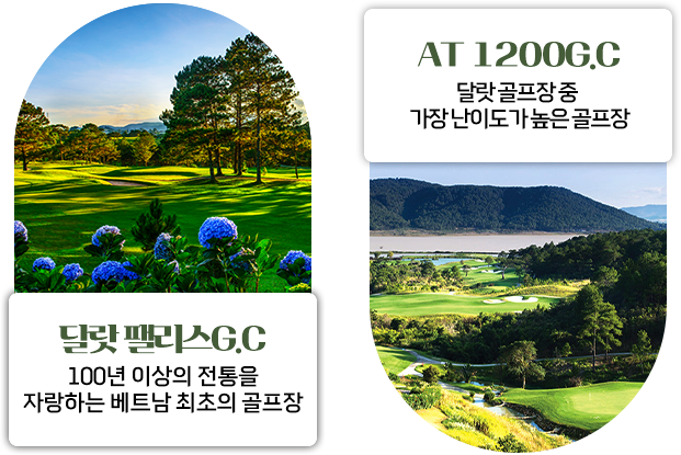 골프