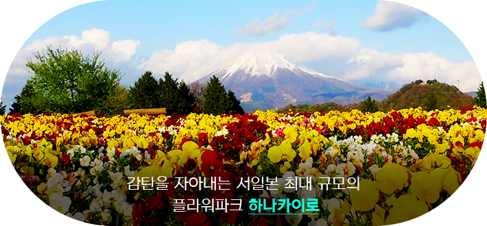 하나카이로