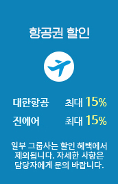 항공권 할인